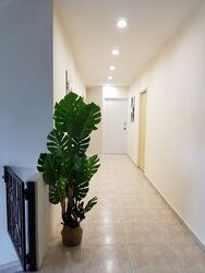 Changi Road (D14), Apartment #446217111